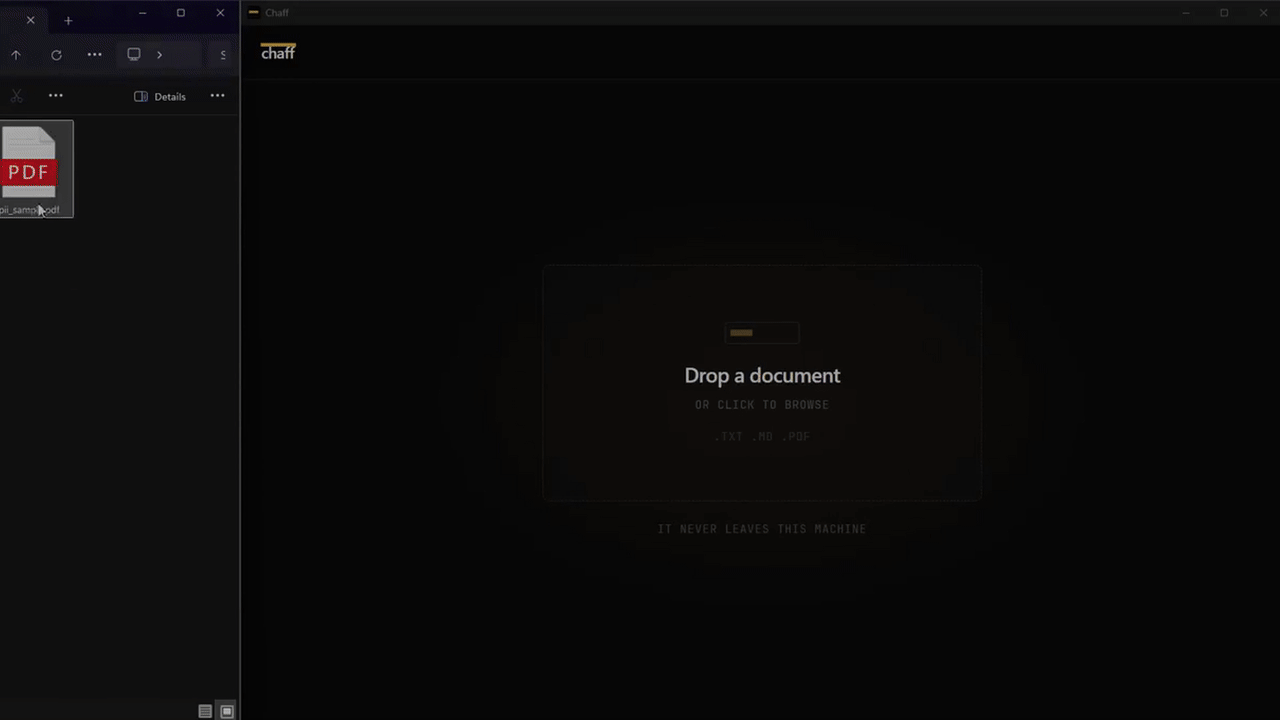 Chaff detecting and redacting personal information in a document